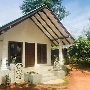 The Wild Culture Sri Lanka